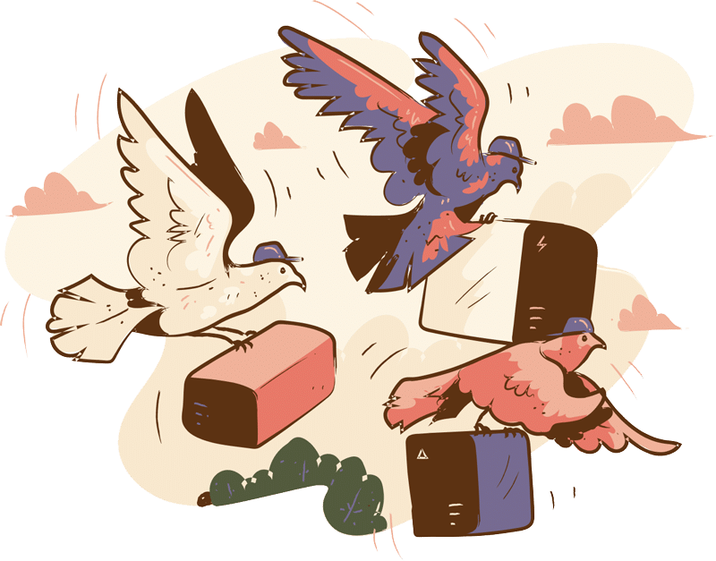 Birds carrying gift cards